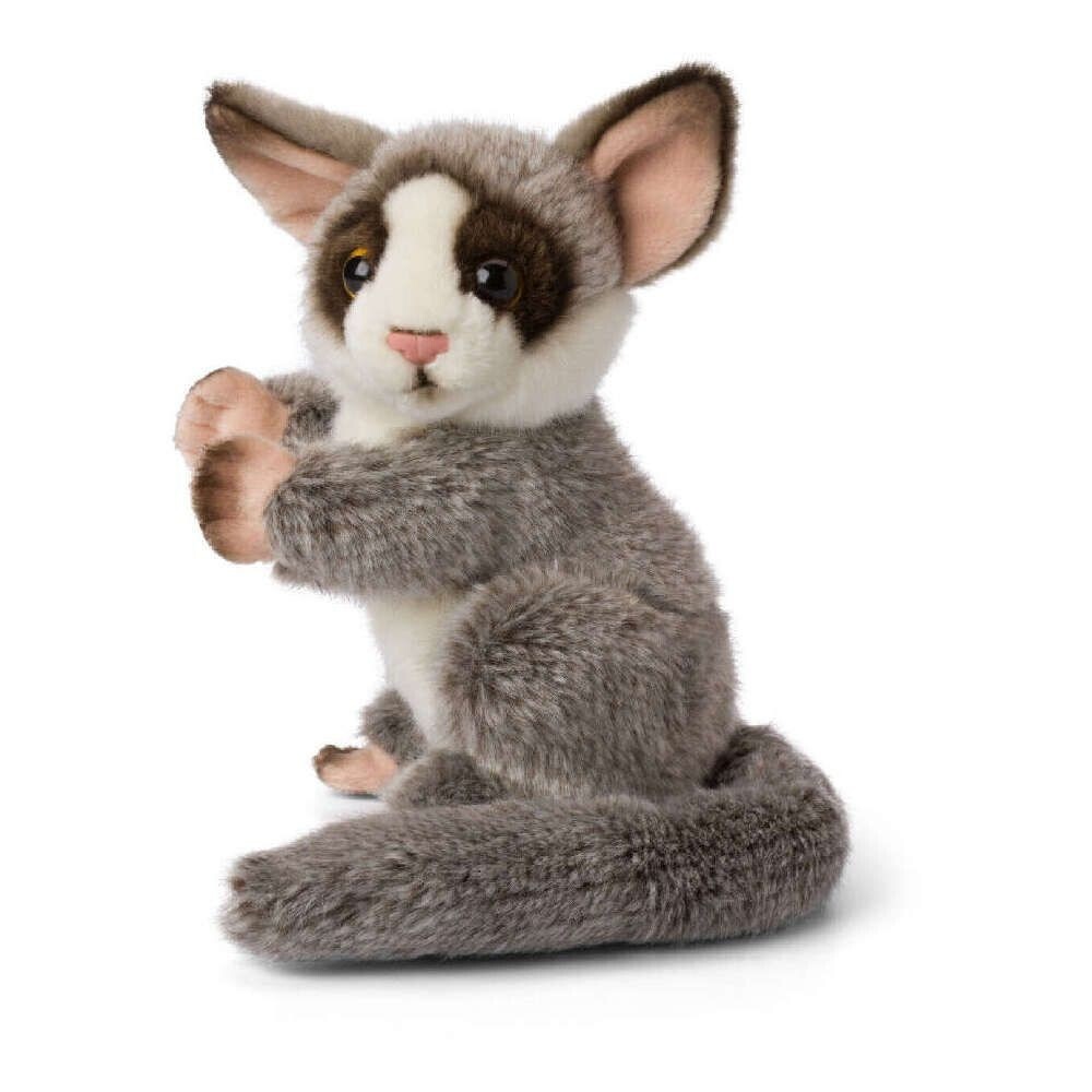 wwf_loutrino_pithikos_galago_kathistos_18_ek_15_191_058_carouseltoys.jpeg1 wwf_loutrino_pithikos_galago_kathistos_18_ek_15_191_058_carouseltoys