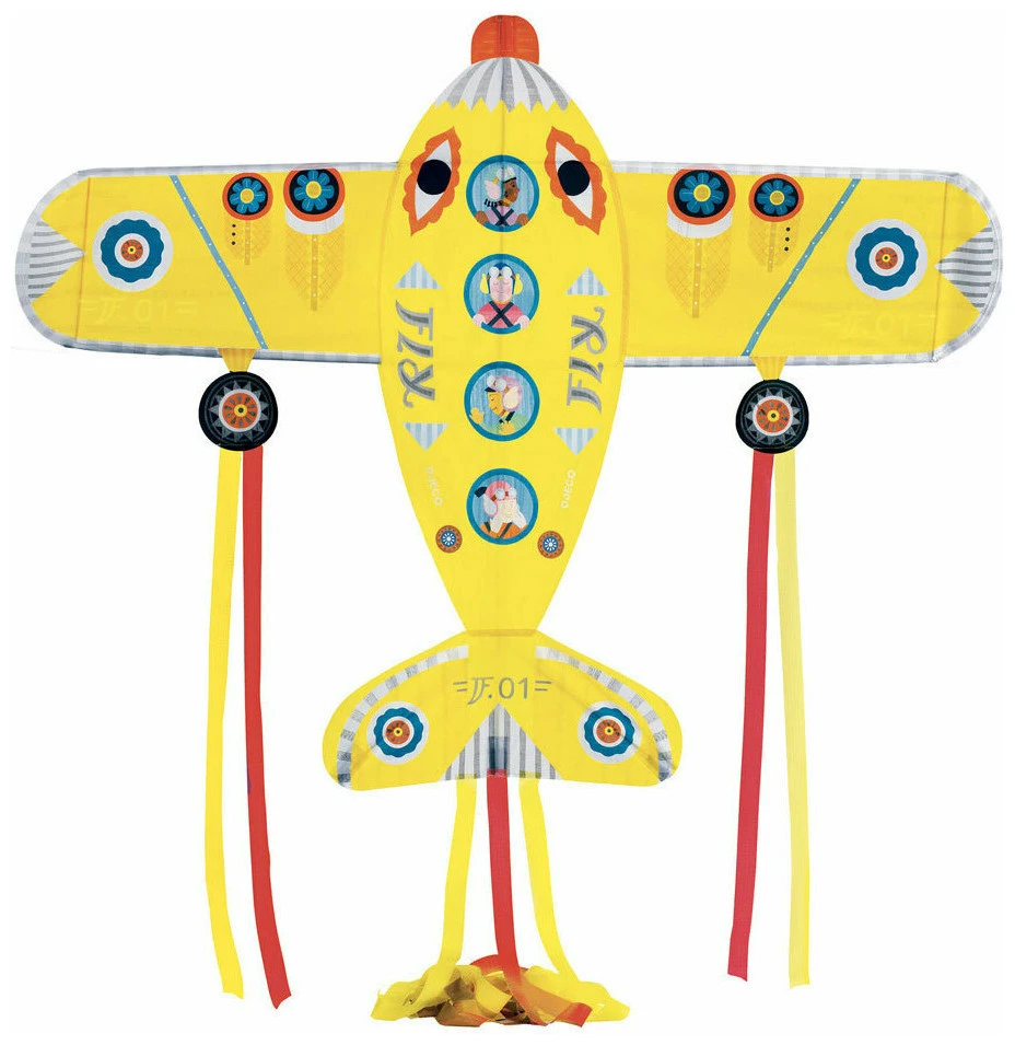 20211215152312_chartaetos_aeroplano_02161